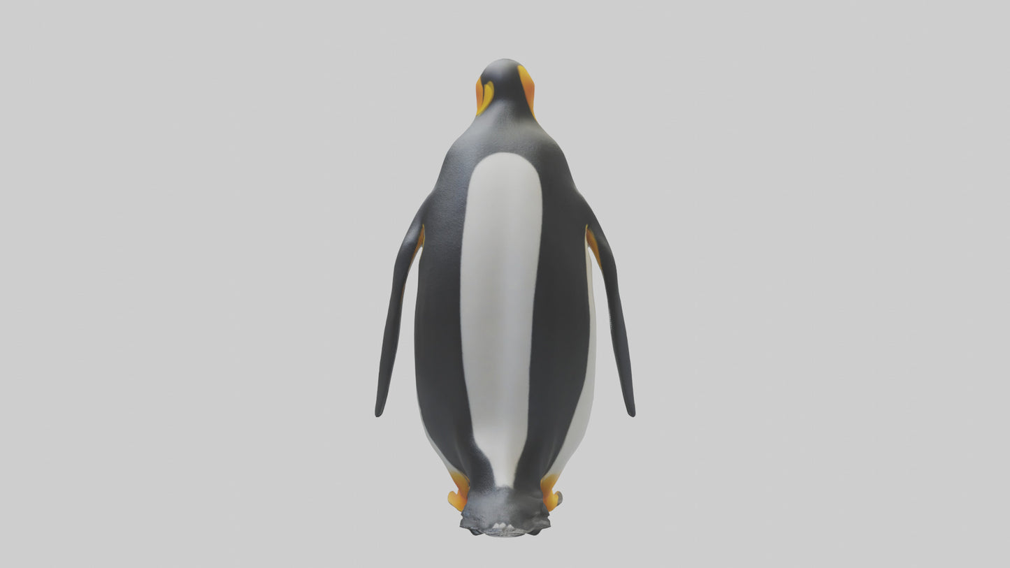 3D model King Penguin standing model VR / AR / low-poly