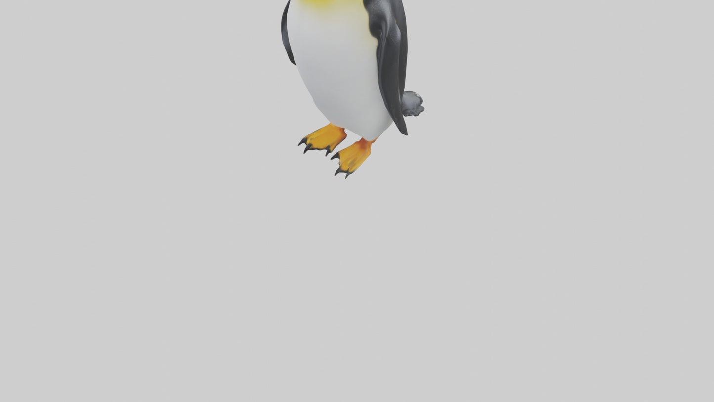 3D model King Penguin standing model VR / AR / low-poly