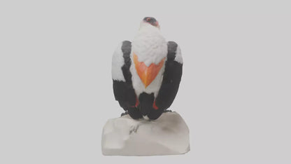3D model King Vulture perched model VR / AR / low-poly