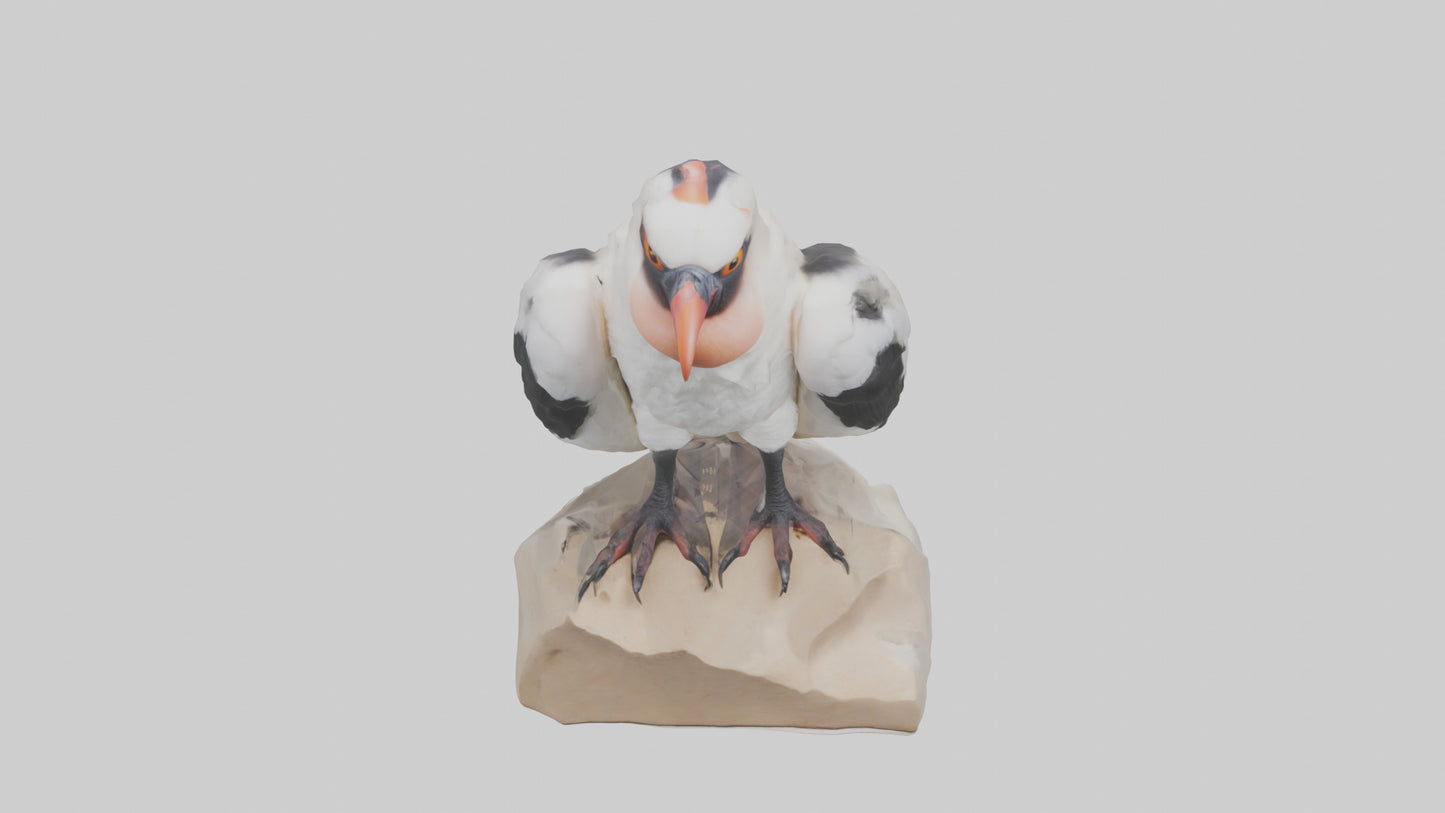 3D model King Vulture perched model VR / AR / low-poly