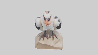 3D model King Vulture perched model VR / AR / low-poly