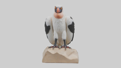 3D model King Vulture perched model VR / AR / low-poly