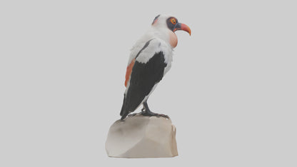 3D model King Vulture perched model VR / AR / low-poly