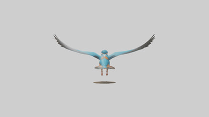 3D model Kingfisher hunting model VR / AR / low-poly