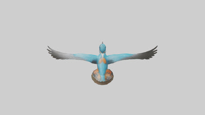 3D model Kingfisher hunting model VR / AR / low-poly
