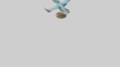 3D model Kingfisher hunting model VR / AR / low-poly