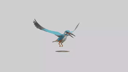 3D model Kingfisher hunting model VR / AR / low-poly