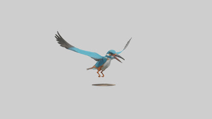 3D model Kingfisher hunting model VR / AR / low-poly