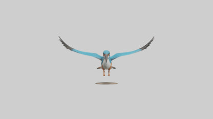 3D model Kingfisher hunting model VR / AR / low-poly