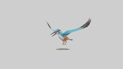 3D model Kingfisher hunting model VR / AR / low-poly