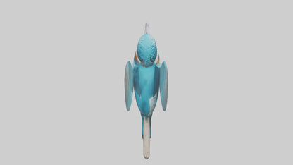 3D model Kingfisher perched model VR / AR / low-poly