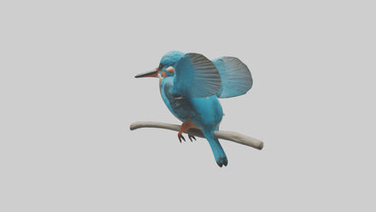 3D model Kingfisher perched model VR / AR / low-poly