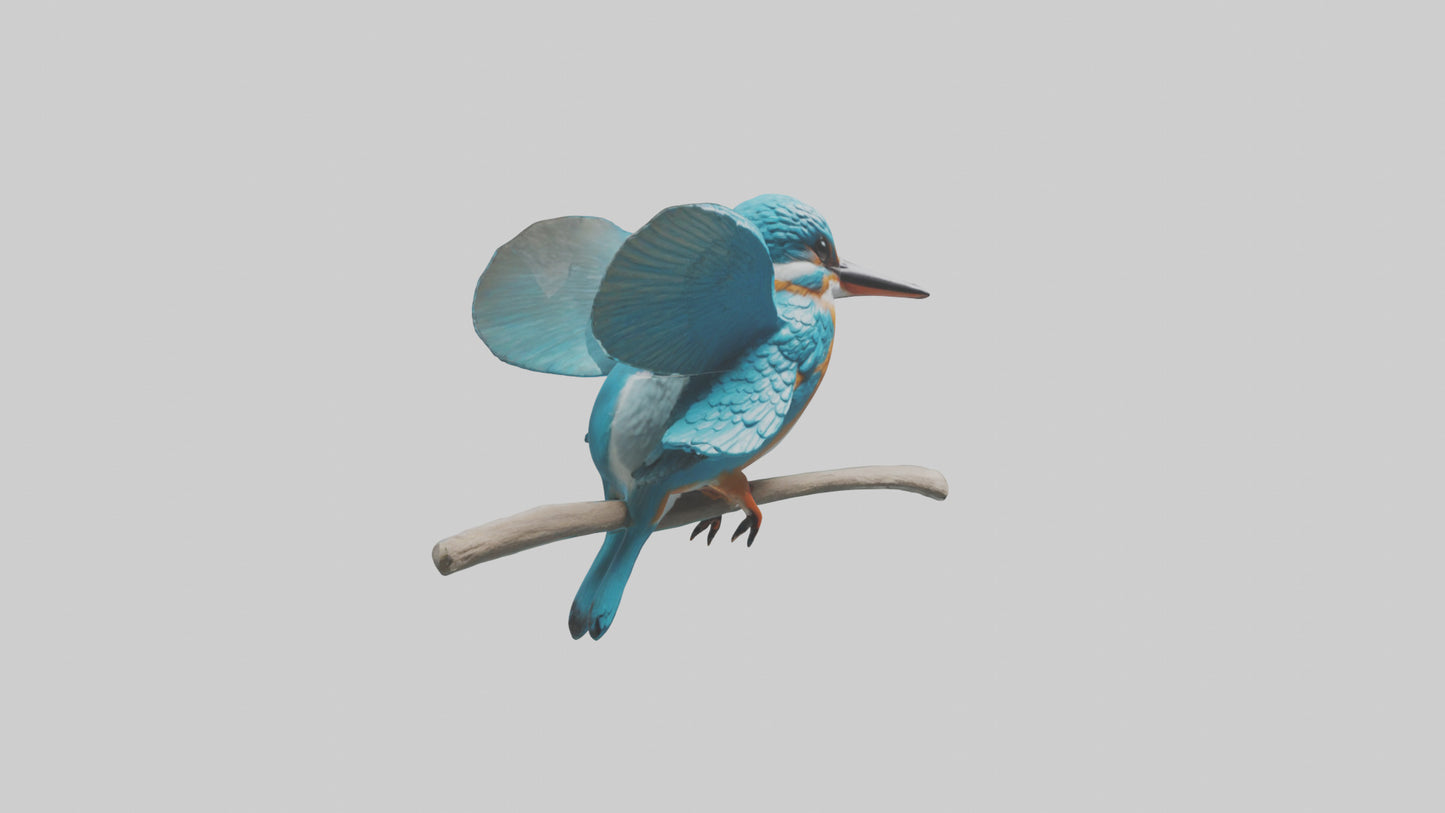 3D model Kingfisher perched model VR / AR / low-poly