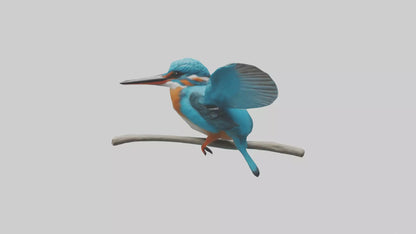 3D model Kingfisher perched model VR / AR / low-poly