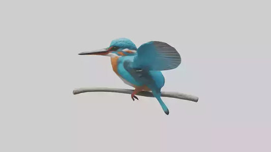 3D model Kingfisher perched model VR / AR / low-poly