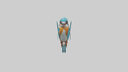 3D model Kingfisher perched model VR / AR / low-poly