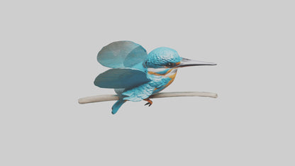 3D model Kingfisher perched model VR / AR / low-poly
