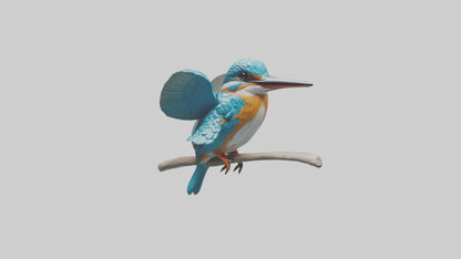 3D model Kingfisher perched model VR / AR / low-poly