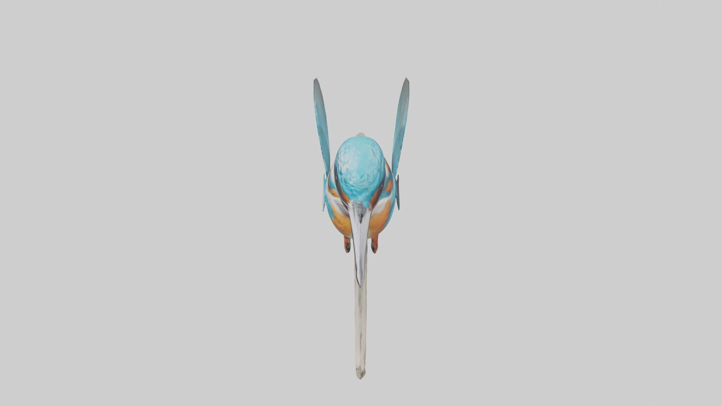 3D model Kingfisher perched model VR / AR / low-poly