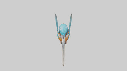 3D model Kingfisher perched model VR / AR / low-poly