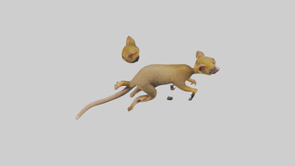 3D model Kinkajou climbing model VR / AR / low-poly
