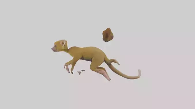3D model Kinkajou climbing model VR / AR / low-poly