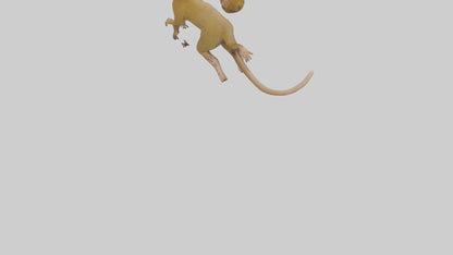 3D model Kinkajou climbing model VR / AR / low-poly