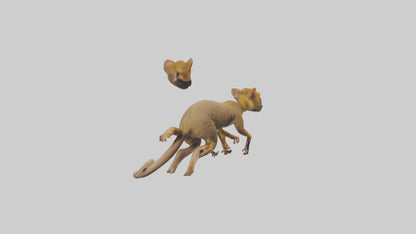 3D model Kinkajou climbing model VR / AR / low-poly