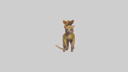 3D model Kinkajou climbing model VR / AR / low-poly