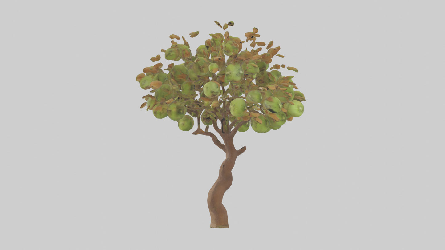 3D model Kiwi tree model VR / AR / low-poly