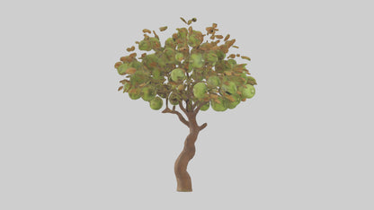3D model Kiwi tree model VR / AR / low-poly
