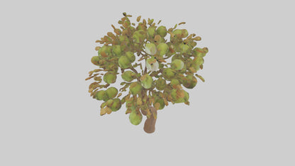 3D model Kiwi tree model VR / AR / low-poly