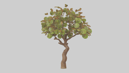 3D model Kiwi tree model VR / AR / low-poly