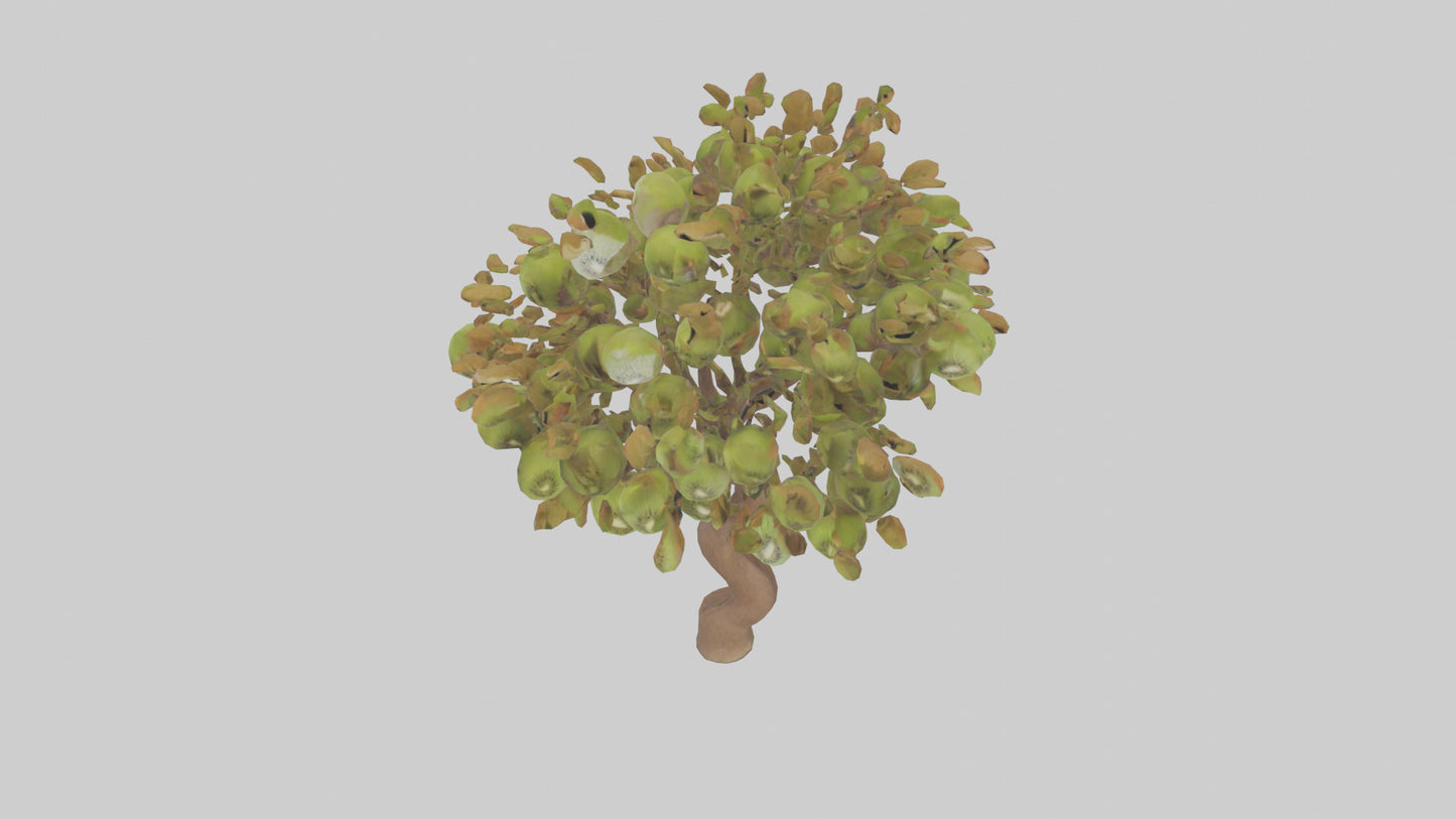 3D model Kiwi tree model VR / AR / low-poly