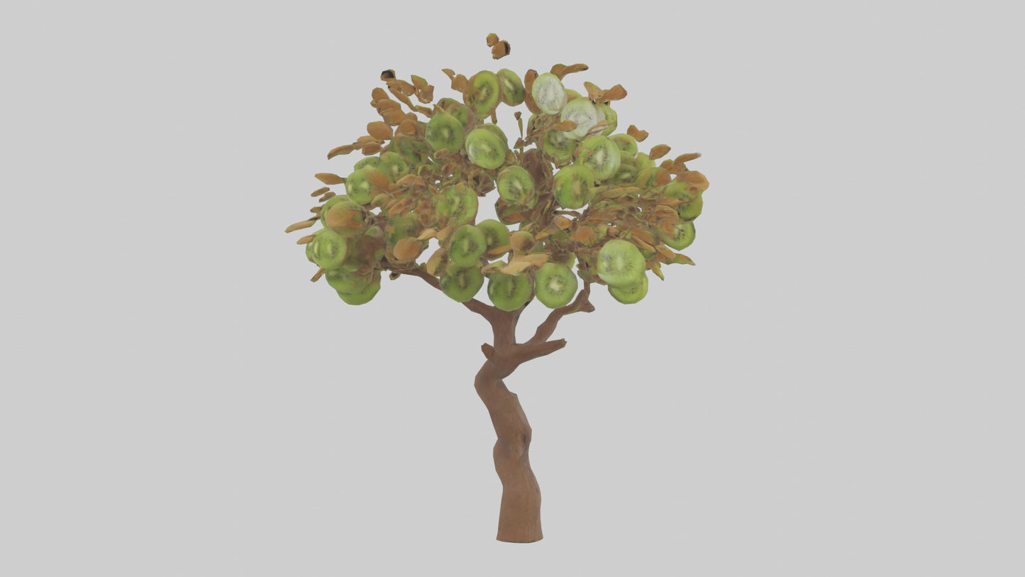 3D model Kiwi tree model VR / AR / low-poly