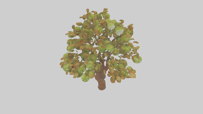 3D model Kiwi tree model VR / AR / low-poly