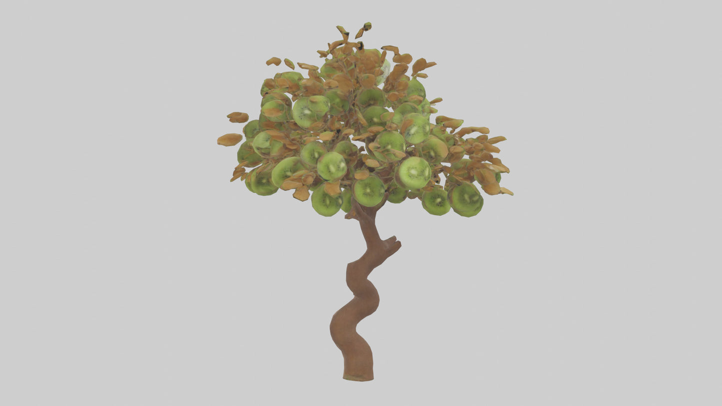 3D model Kiwi tree model VR / AR / low-poly