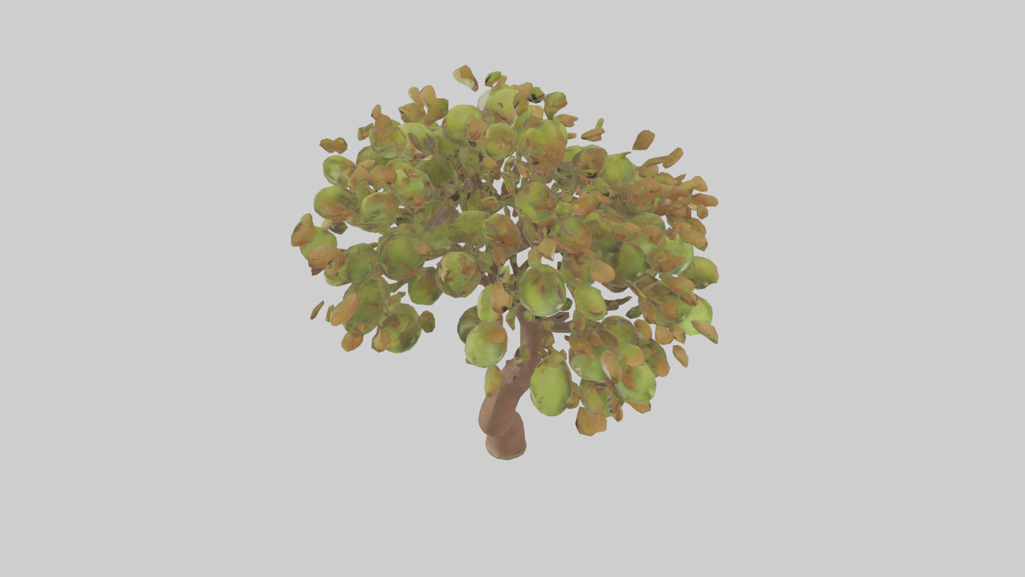 3D model Kiwi tree model VR / AR / low-poly