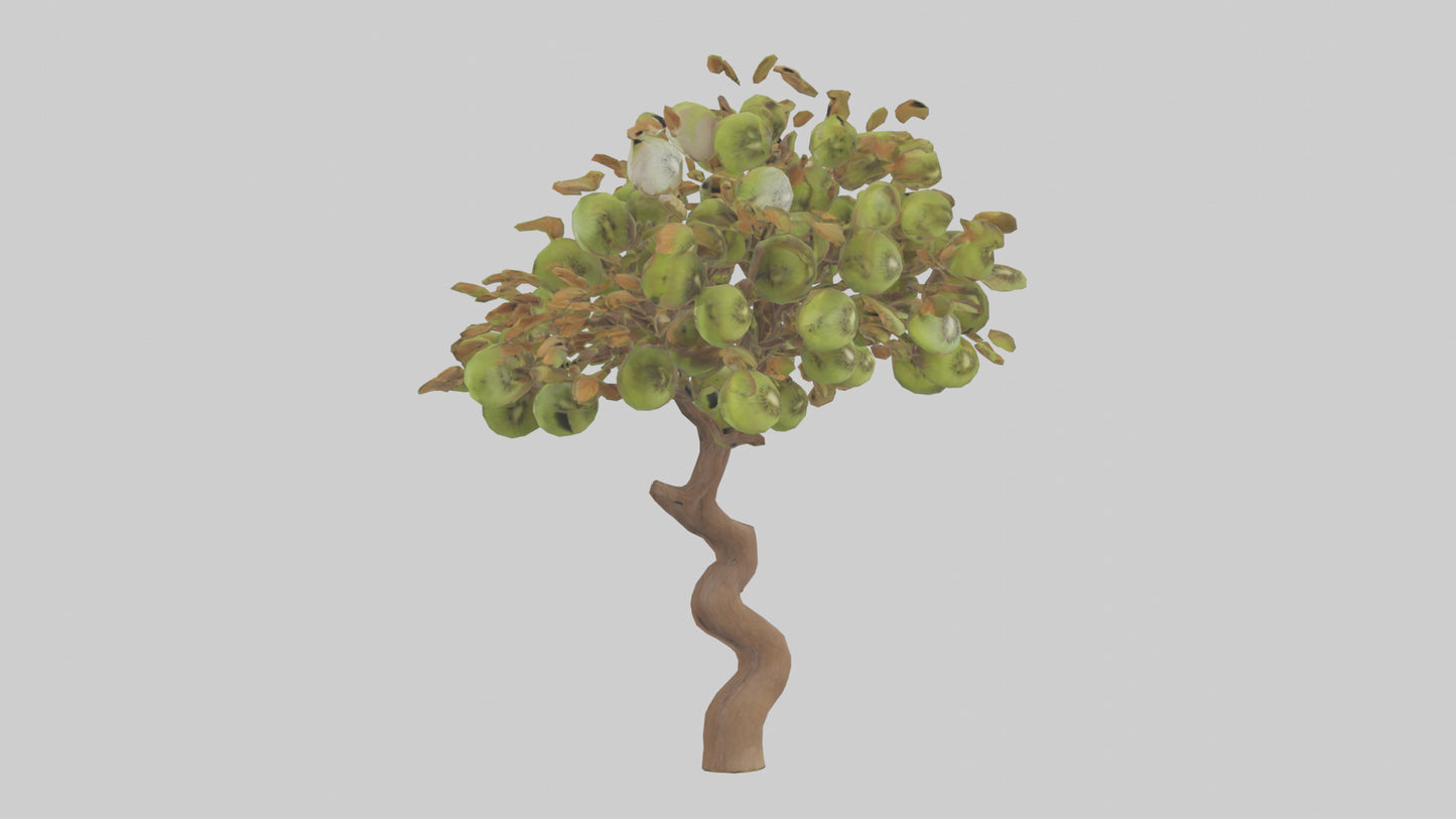 3D model Kiwi tree model VR / AR / low-poly