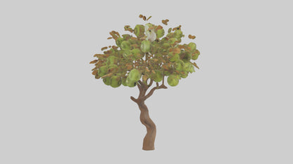 3D model Kiwi tree model VR / AR / low-poly
