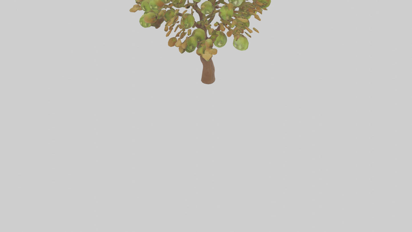 3D model Kiwi tree model VR / AR / low-poly