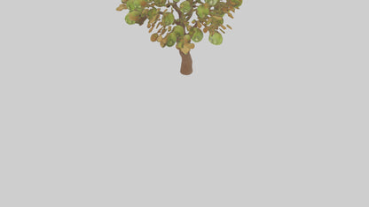 3D model Kiwi tree model VR / AR / low-poly