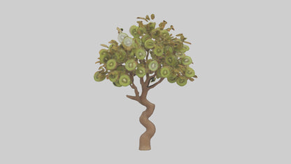 3D model Kiwi tree model VR / AR / low-poly