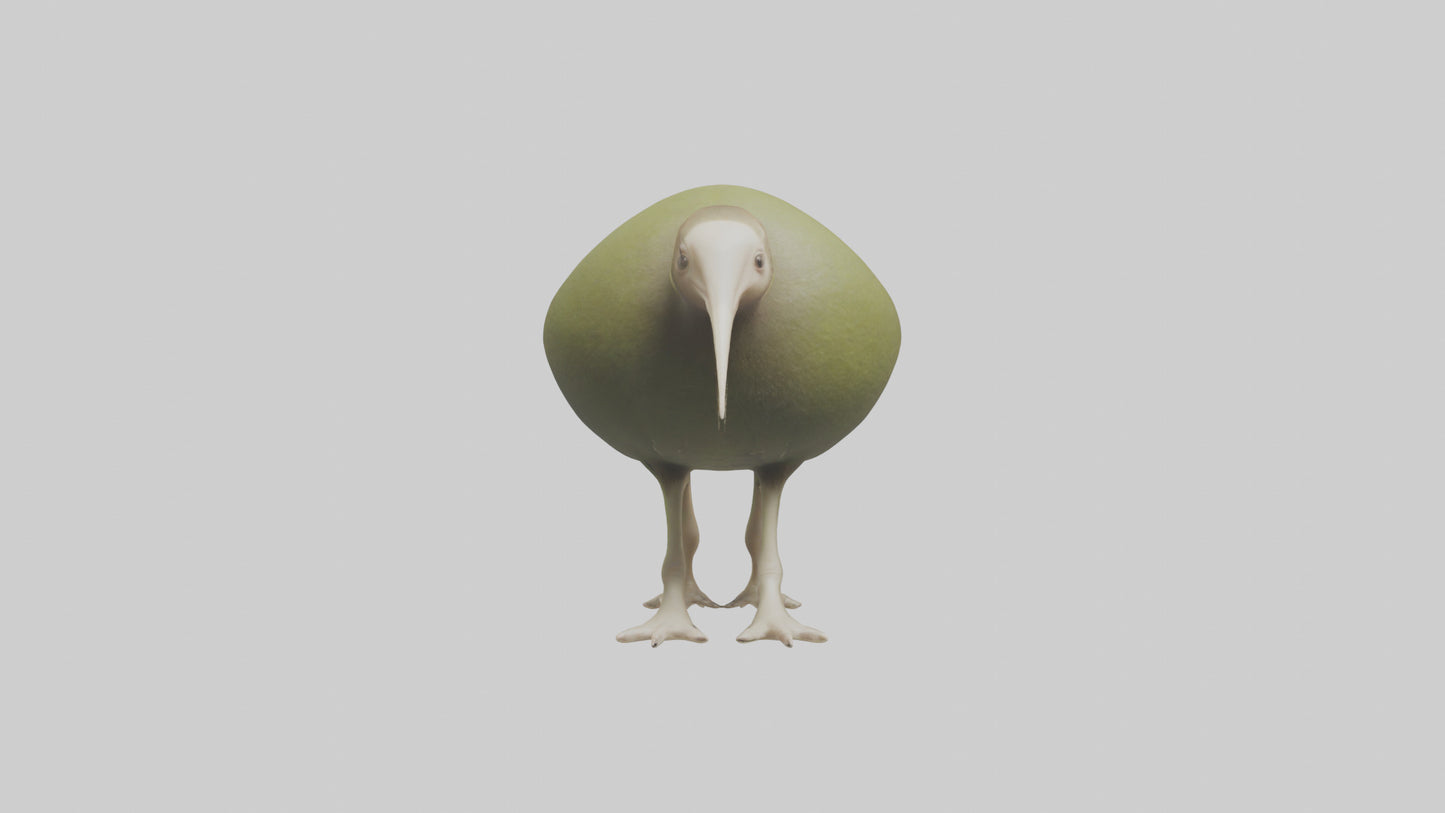 3D model Kiwi walking on forest floor model VR / AR / low-poly