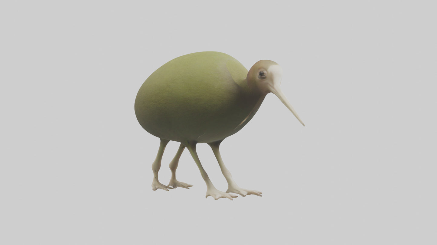 3D model Kiwi walking on forest floor model VR / AR / low-poly