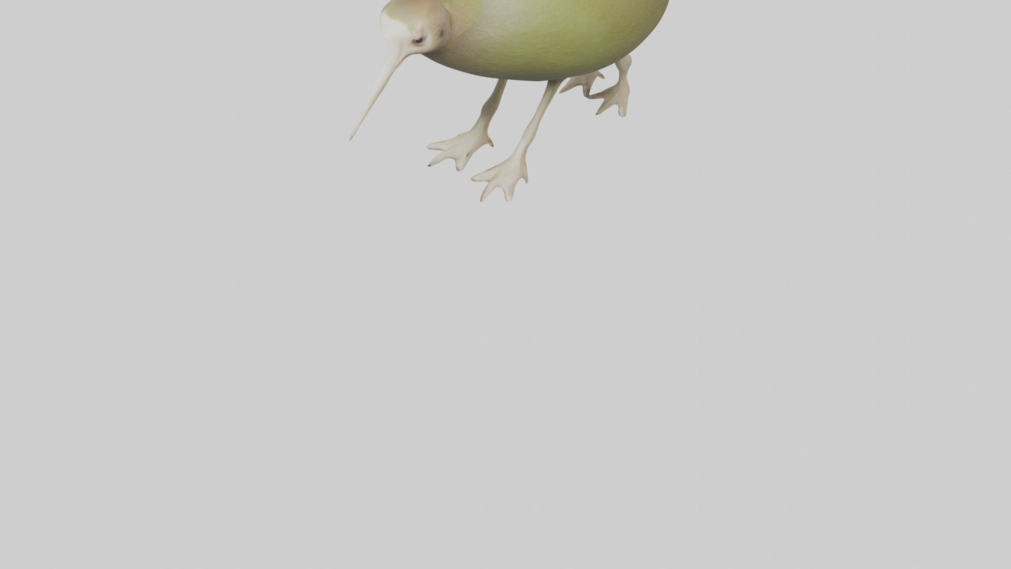 3D model Kiwi walking on forest floor model VR / AR / low-poly
