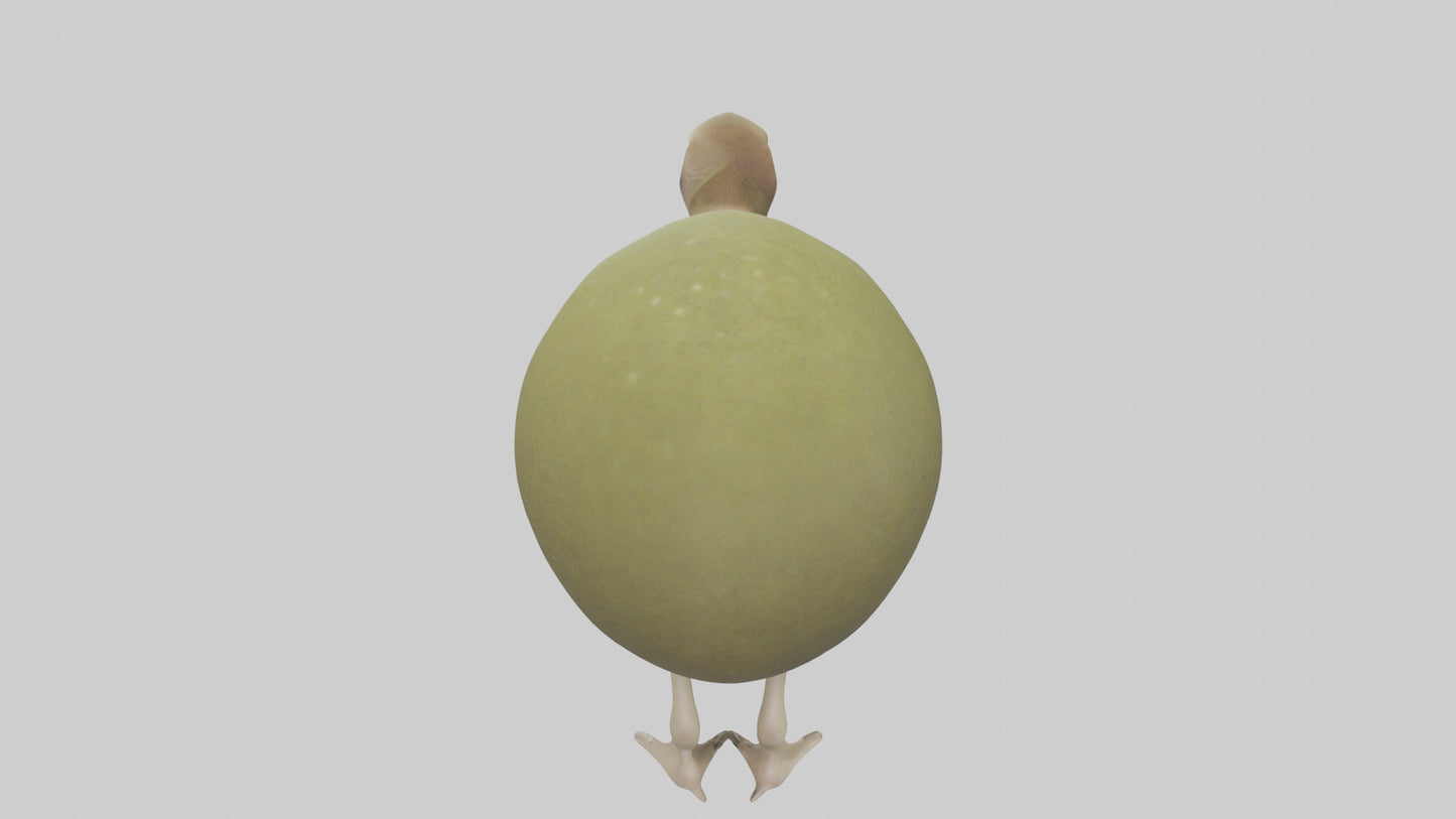 3D model Kiwi walking on forest floor model VR / AR / low-poly