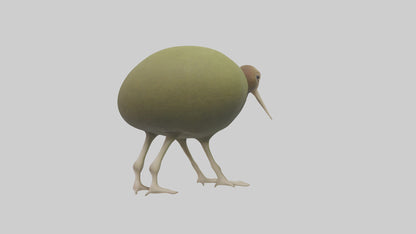 3D model Kiwi walking on forest floor model VR / AR / low-poly