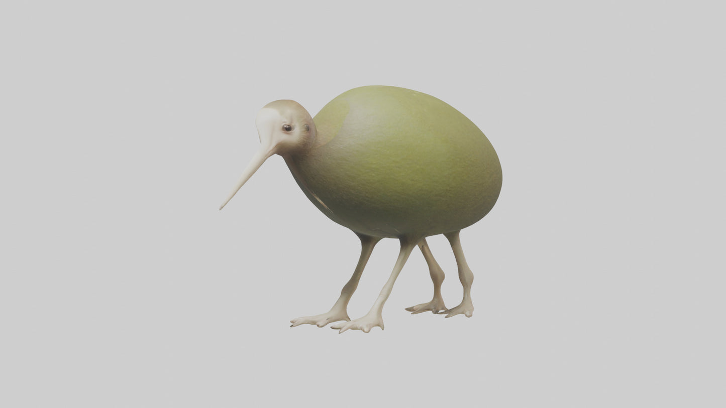 3D model Kiwi walking on forest floor model VR / AR / low-poly