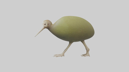3D model Kiwi walking on forest floor model VR / AR / low-poly